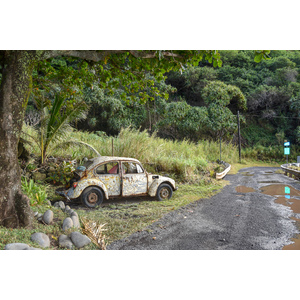 Back Roads of The Road to Hana by Howard Hammel