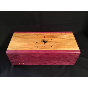 Chorded 12 key Hardwood Drum in C Major (Bolivian Canarywood with Hogeye Purpleheart sides) by Michael Thiele