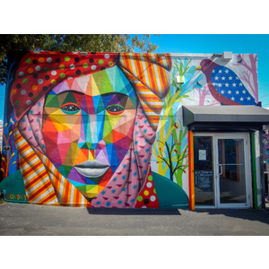 Building mural - Miami Arts District by Howard Hammel