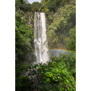 Waterfall on The Road to Hana, Maui by Howard Hammel