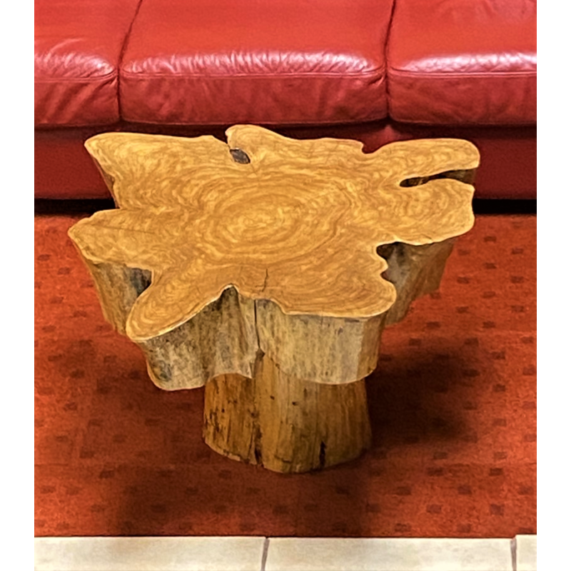 Tree stump coffie table by Joe Hudson