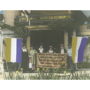 Sufftragists in Washington DC, 1920 by Susan Bock