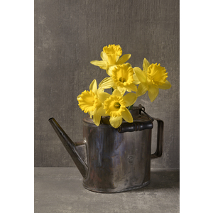 Small daffodils railroad tea pot