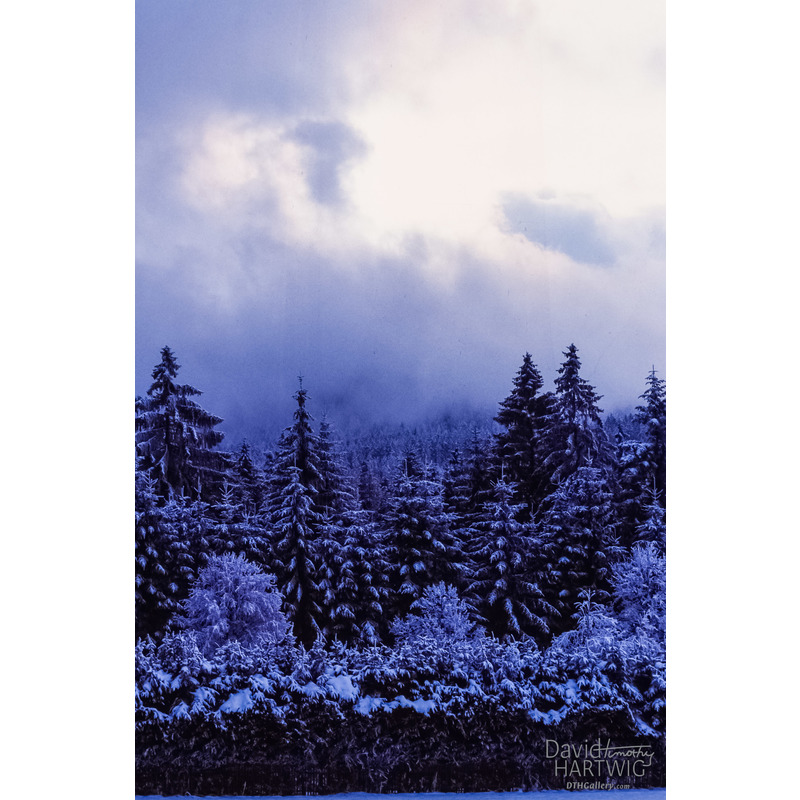 A Blue Winter in Germany  by David Timothy Hartwig