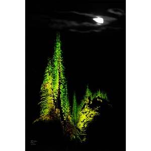 The Moon & the Trees 20 x 30 by Matt Jackson