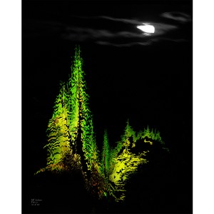 The Moon & the Trees 16 x 20 by Matt Jackson