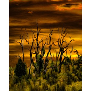Grove of Dead Trees 16 x 20 by Matt Jackson