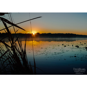 Daybreak on Deep Lake by David Timothy Hartwig