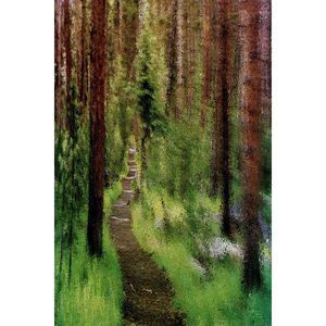 Deep Tall Woods 20 x 30 by Matt Jackson
