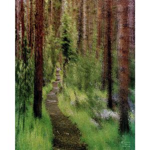 Deep Tall Woods 16 x 20 by Matt Jackson