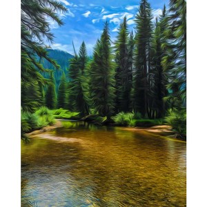 Colorado Stream 16 x 20 by Matt Jackson