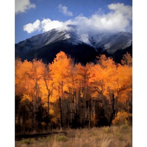 Autumn in the Rockies 16 x 20 by Matt Jackson