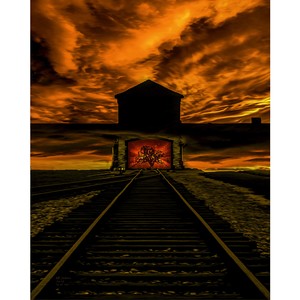 Auschwitz Memorium 16 x 20 by Matt Jackson