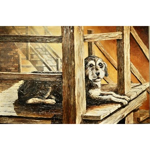 Back Porch Dog by Dick Dahlstrom