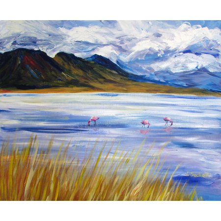 Medium flamingos in a lagoon 1 bolivia 16x20
