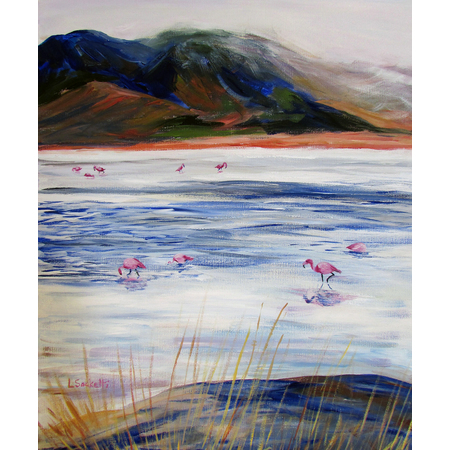 Medium flamingos in a lagoon 2 bolivia 16x20