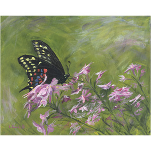 Butterfly in my back yard. 16" x 20" by Linda Sacketti