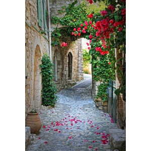 Red Petal Pathway - Available in Sizes up to 8' by Dale and Gail Horn