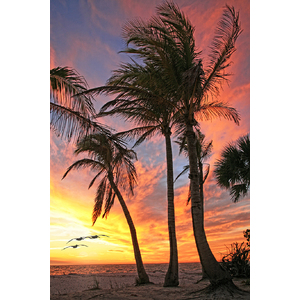 Paradise Sunset - Available in Sizes up to 8' by Dale and Gail Horn