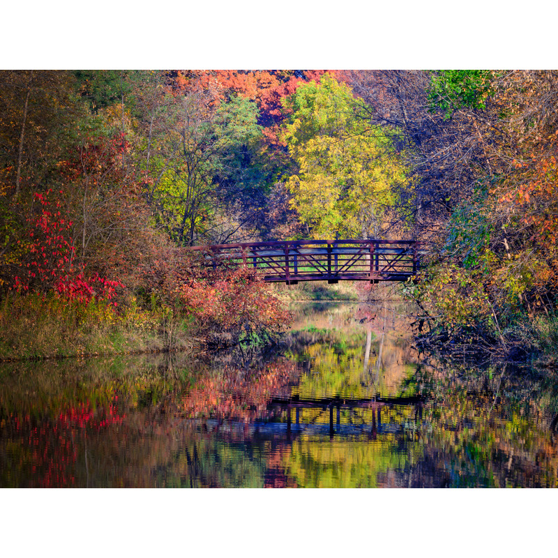 Fall Bridge - Little Canada, MN by Jay Rasmussen