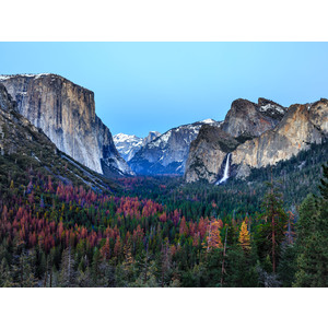 Yosemite Valley - Yosemite National Park, CA by Jay Rasmussen