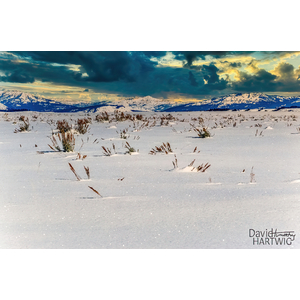 Sparkling Snow by David Timothy Hartwig