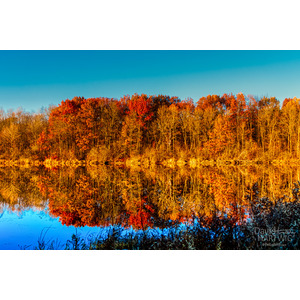 A Reflection of Autumn by David Timothy Hartwig