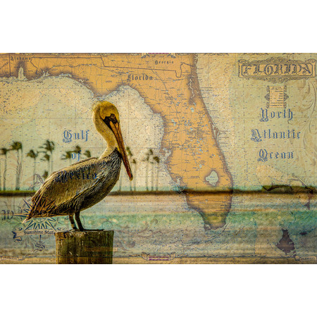 Medium 20x30 florida pelican  0611