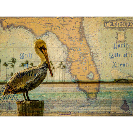 Medium 30x40 florida pelican map 0611 2
