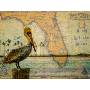 Florida Pelican Map - Florida by Jay Rasmussen
