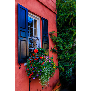 Charleston Window - Historic Charleston, SC by Jay Rasmussen