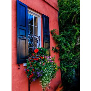 Charleston Window - Historic Charleston, SC by Jay Rasmussen