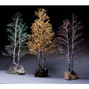 Tree Seasons of Aspen by Wayne Trinklein