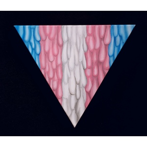Trans Pride Triangle by Peter Thaddeus