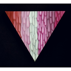 Lesbian Pride Triangle by Peter Thaddeus