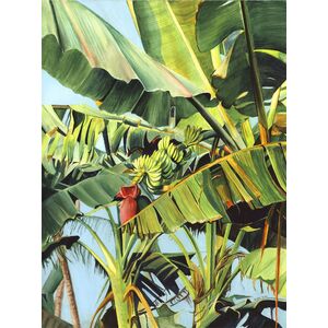 Banana Tree  by Linda Curtis