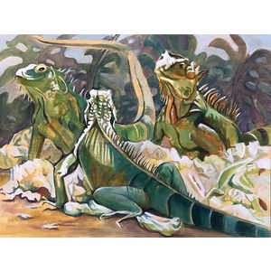 Iguanas by Linda Curtis