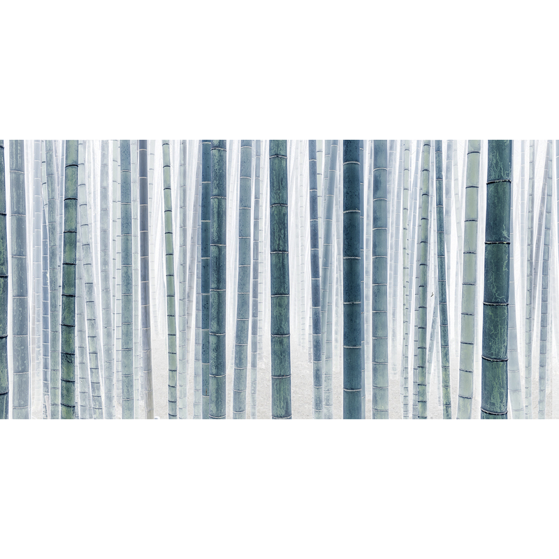 Bamboo Grove by JD Dennison