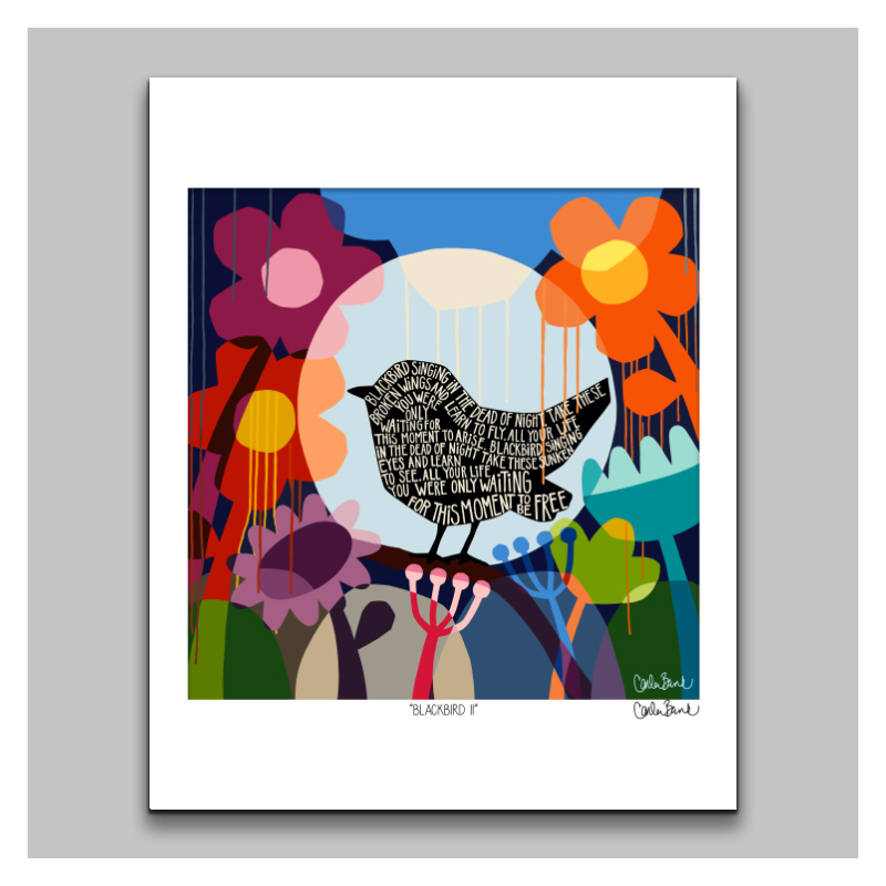 "Blackbird" limited edition paper print 11x14 by Carla Bank