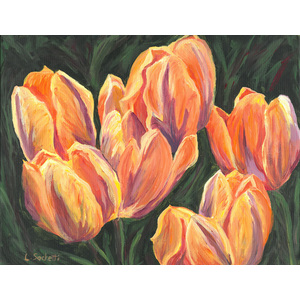 Orange Tulips 16" x 20" by Linda Sacketti