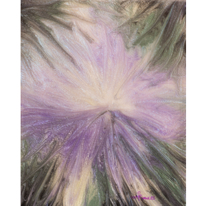 Amethyst Amaryllis  12 x 18 inches by Susan Knowles