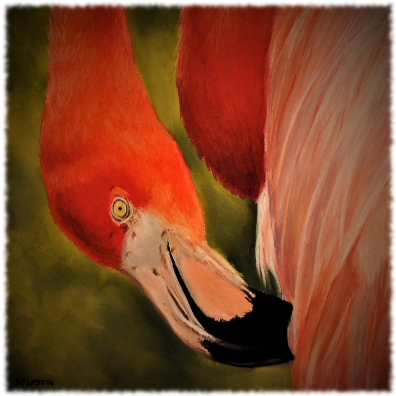 Flamingo by Barbara Benstein
