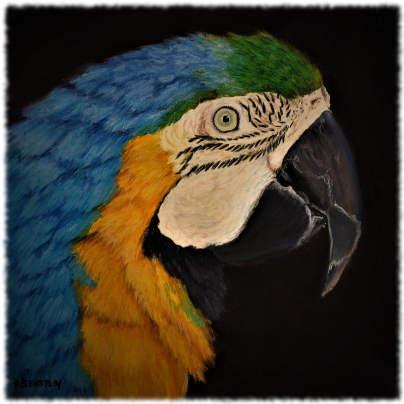 Parrot by Barbara Benstein