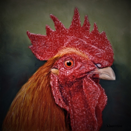 Medium rooster