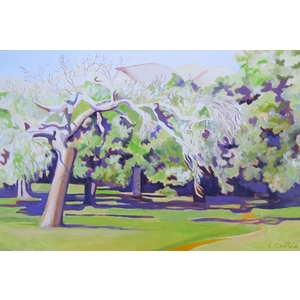 Oaks in the Sun by Linda Curtis