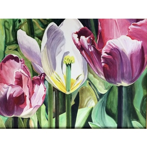 3 Tulips by Linda Curtis