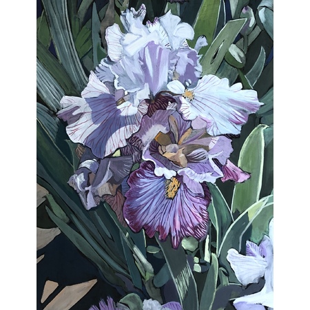Medium bl irises