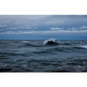 Chicago Surf by David Timothy Hartwig