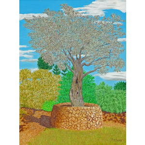 Ancient Olive Tree 12 x 9 by Jim Young