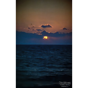 Ocean Sunrise by David Timothy Hartwig